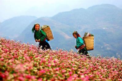 Trải nghiệm văn hóa – xu hướng du lịch đang lên ngôi