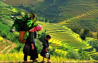 TOUR SAPA